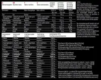 Body Attack Extreme Iso Whey (1000g Dose)