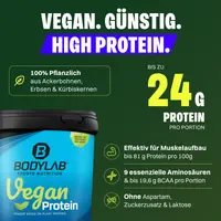 BODYLAB3 x Vegan Protein (1000g)