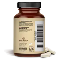Vitamin C + Zink (120 Kapseln)