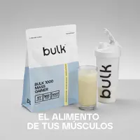 Bulk 1000 Masseaufbau