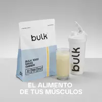 Bulk 1000 Masseaufbau