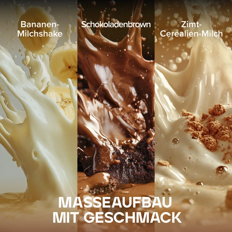 Bulk 1000 Masseaufbau