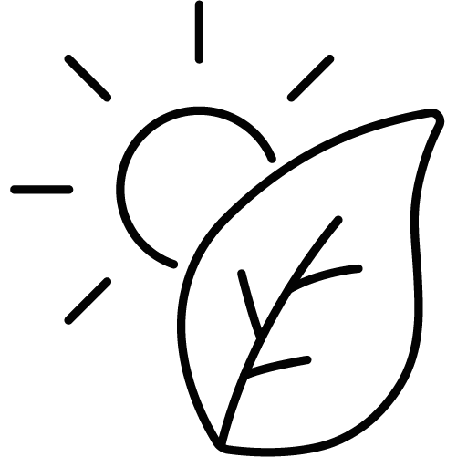 Vitamin C Tabletten 1000 mg