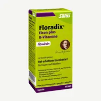 Floradix Eisen plus B-Vitamine 40 Kapseln