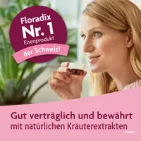 Floradix Eisen + Vitamine Sticks