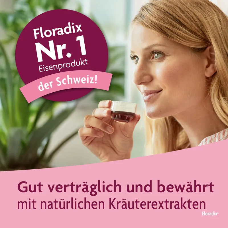 Floradix Eisen + Vitamine Sticks