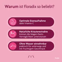 Floradix Eisen + Vitamine Sticks