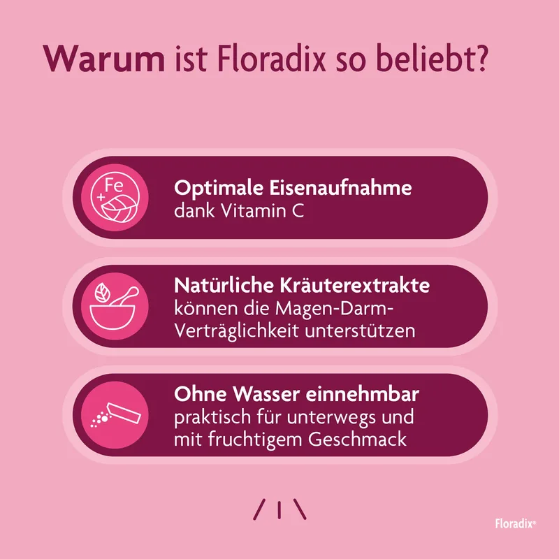 Floradix Eisen + Vitamine Sticks