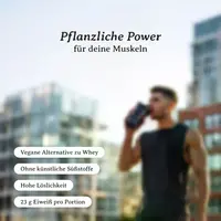 ORGAINICVegan Protein bio (700g)