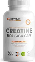 ProFuel Creatine Capsules (300 Caps)