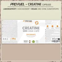ProFuel Creatine Capsules (300 Caps)