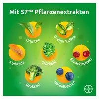 Energy-Mix+Phyto
