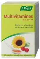 VOGEL Multivitamin Kapseln